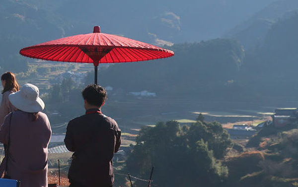 お茶畑の先端で