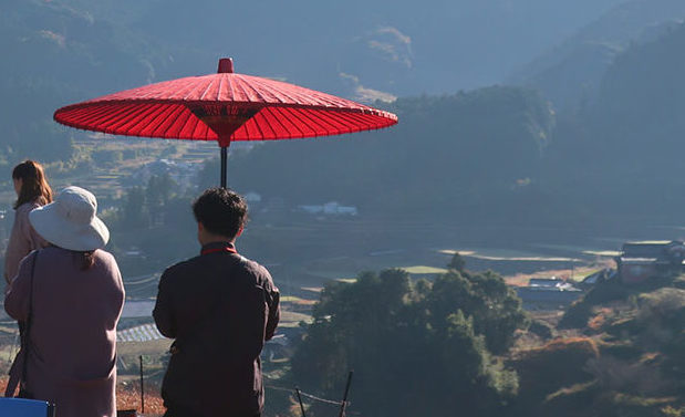 お茶畑の先端で